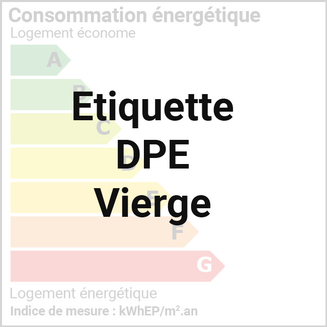 Étiquette DPE Vierge