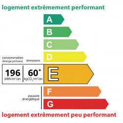 DPE E · 196 kWh/m²/an · 60 kg CO₂/m²/an