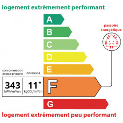 DPE F · 343 kWh/m²/an · 11 kg CO₂/m²/an